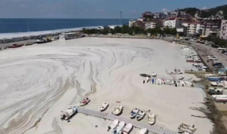 Marmara Denizi için korkutan uyarı: ‘Kabus geri gelecek’