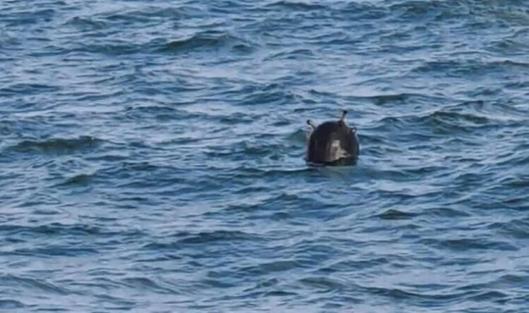 Boğaz’da mayın alarmı: Gemi trafiğine kapatıldı