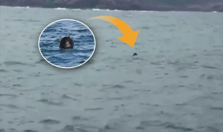 Eski Mayın Filosu Komutanı Gürdeniz uyardı! ‘Gece risk artacaktır’