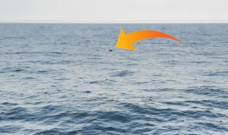 İğneada açıklarında mayın tespit edildi