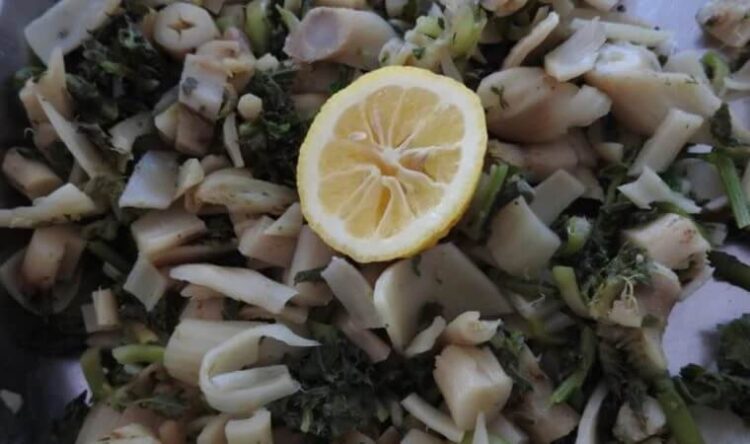 ‘Profesör doktor’ lakaplı otun fiyatı etle yarışıyor