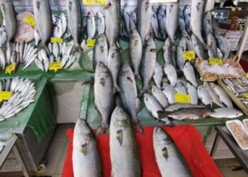 Soğuk hava tezgahı vurdu, fiyatlar fırladı