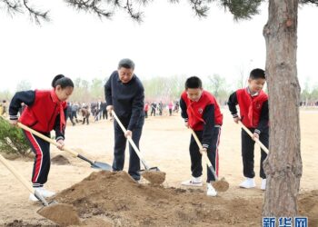 Xi: Gelecek nesillerin ağaç gölgesinde serinleyebilmeleri için çabalıyoruz