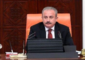 TBMM Başkanı Şentop: İttifaka dahil olan partiler için baraj söz konusu değil