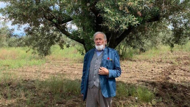 İlber Ortaylı’dan zeytin düzenlemesine tepki: Mutlaka gözden geçirilmeli…