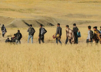 Kaçak göçmenlerin taciz görüntülerine tepki yağıyor