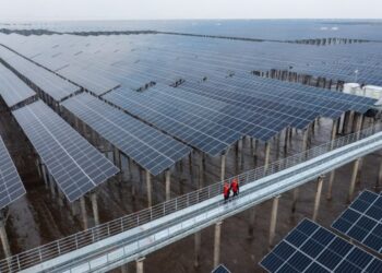 Çin Kalkınma Bankası, yılın ilk çeyreğinde temiz enerji gelişimine destek verdi