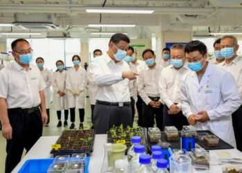 Xi, gıda güvenliğinin sağlanmasında “Çin tohumlarının” hayati rolünü vurguladı