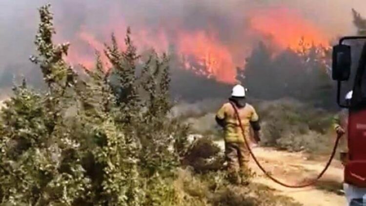 İzmir, Kocaeli ve Bursa’da orman yangını