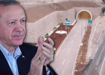 Erdoğan’ın ‘yeşili severim’ sözlerine Tuncay Özkan’dan yanıt