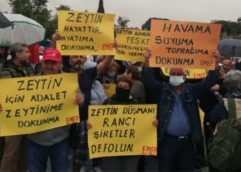 Milas’ta ‘Zeytin Hayattır, Hayatıma Dokunma’ mitingi