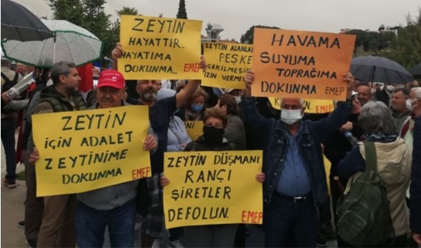 Milas’ta ‘Zeytin Hayattır, Hayatıma Dokunma’ mitingi