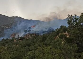 Bodrum’daki orman yangını yeniden başladı
