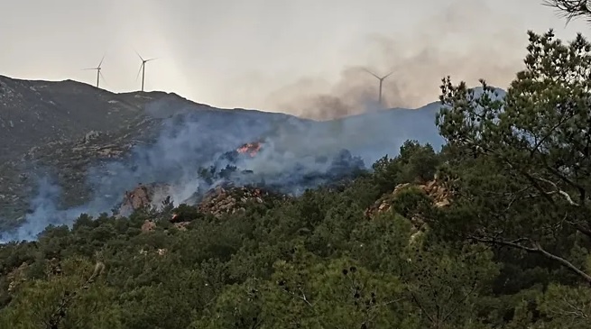 Bodrum’daki orman yangını yeniden başladı