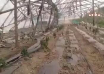 Amasya’da fırtına seraları vurdu