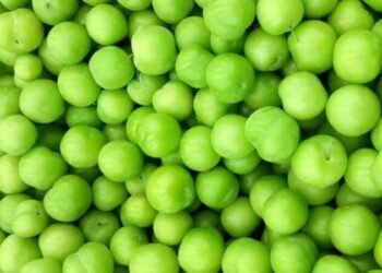 Erik zam şampiyonu oldu!