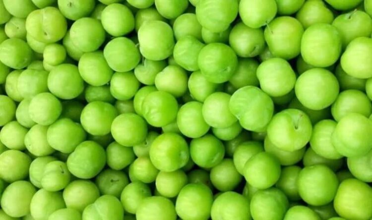 Erik zam şampiyonu oldu!