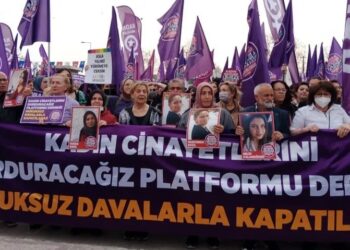 ‘Bu dava tüm demokratik kamuoyuna yönelik bir saldırıdır’