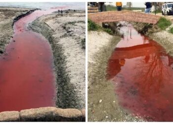 Kamara Deresi ‘kırmızı’ alarm veriyor