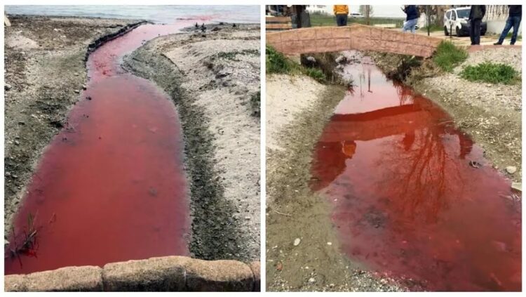 Kamara Deresi ‘kırmızı’ alarm veriyor