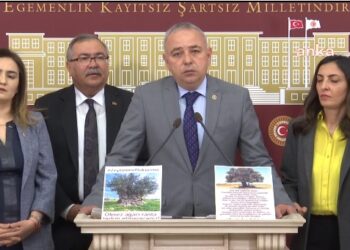 CHP’den zeytinlik tepkisi: ‘Yargı süreci devam ederken yağmalama başladı’