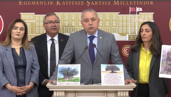 CHP’den zeytinlik tepkisi: ‘Yargı süreci devam ederken yağmalama başladı’