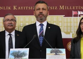 CHP’li vekillerden Danıştay’a ‘zeytinlik’ çağrısı