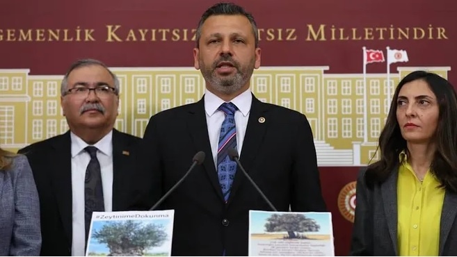 CHP’li vekillerden Danıştay’a ‘zeytinlik’ çağrısı