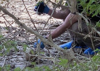 Adana’da ürpertici olay! İnsan bedeni parçaları bulundu