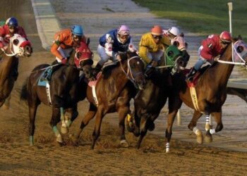 At yarışı gelirleri, Varlık Fonu’na aktarılacak