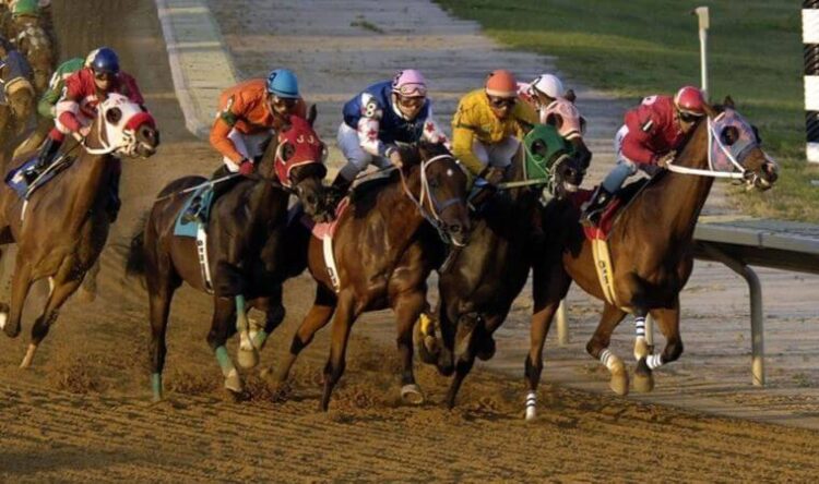 At yarışı gelirleri, Varlık Fonu’na aktarılacak