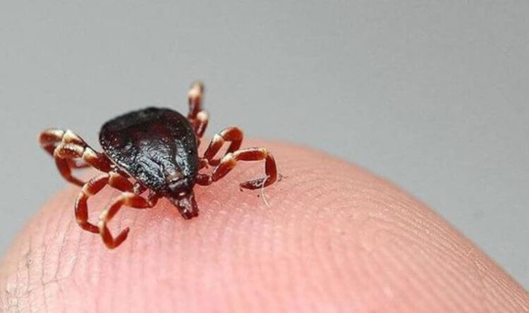 Uzmanı uyardı: ‘Çok ciddi artış bekliyoruz’