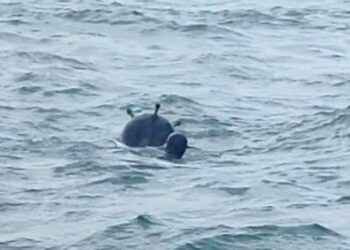 Akar: Mayınlar kasıtlı mı bırakıldı diye şüphelerimiz var