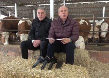 Muharrem İnce’den ahırda basın toplantısı