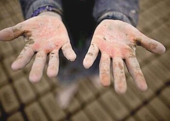 CHP Yoksulluk Dayanışma Ofisi Koordinatörü: Birçok çocuk çalışmaya başladı