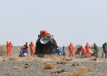 Araştırmacılar, Shenzhou-13 tarafından getirilen uzayda yetiştirilmiş tohumları ekmeye başladı
