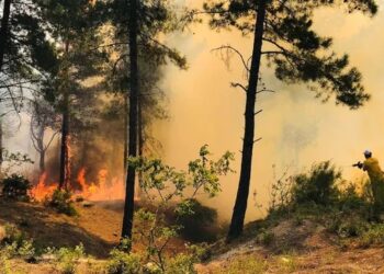 Hatay Valiliği’nden açıklama: Yangını PKK çıkarmadı