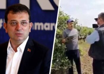 ‘Limon kumpası’ davasında yeni gelişme