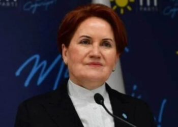 Meral Akşener’den 19 Mayıs çağrısı