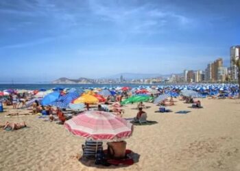 Kör eden sinekler tekrar ortaya çıktı!