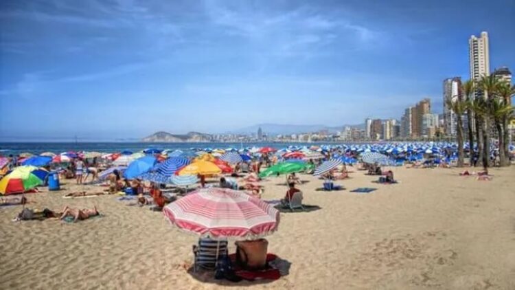 Kör eden sinekler tekrar ortaya çıktı!