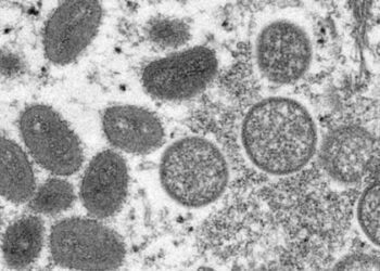 Dünya alarmda: Yeni virüs hızla yayılıyor!