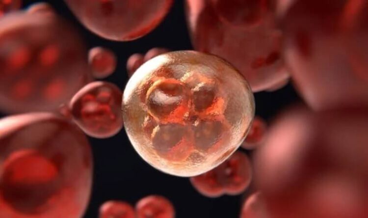 ‘Gizemli hepatit’ vakalarında korkutan artış!