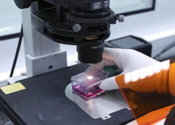 Tarih verdiler: DSÖ’den ‘maymun çiçeği virüsü’ uyarısı