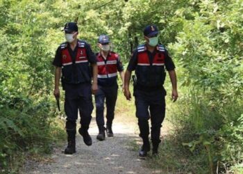 Ormanda konaklamak ve mangal yapmak 3 ay yasak