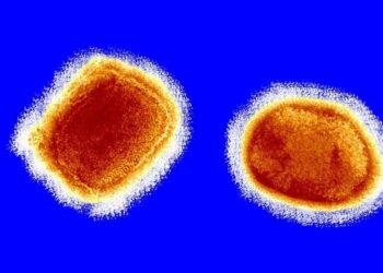 Üç ülkede maymun virüsü çiçeğine ilişkin yeni vaka çıktı