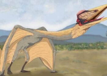 ‘Ölüm Ejderhası’na ait fosil kalıntılar bulundu