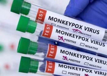 AB’den maymun çiçeği için aşı adımı