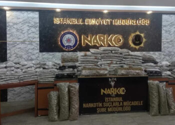 İstanbul’da 120 kilo marihuana bitkisi ele geçirildi: 14 tutuklama