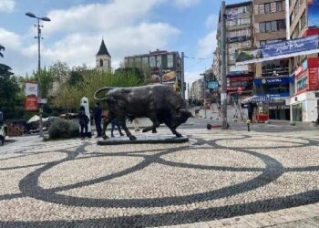 Boğanın üzerine çıkıp ‘duyarlı olun’ mesajı verdi